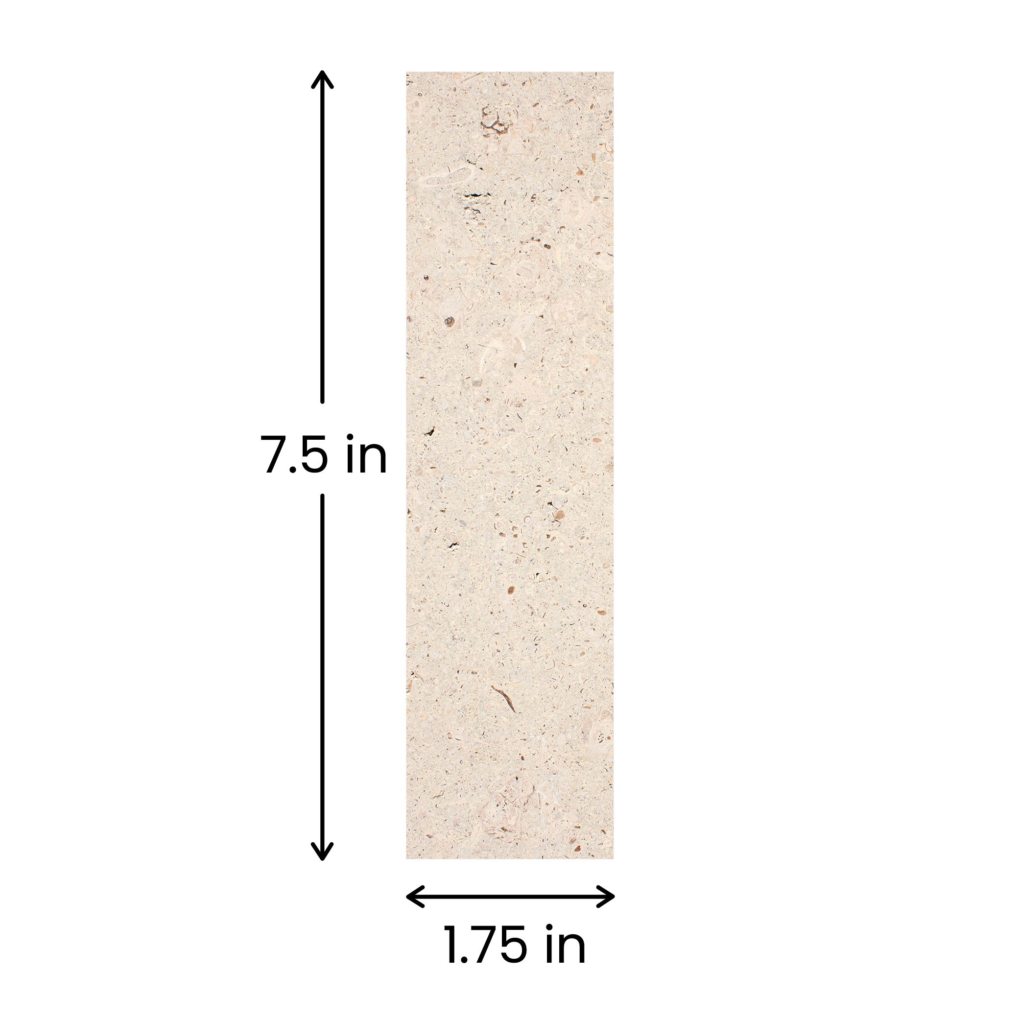 1.75 in x 7.5 in.