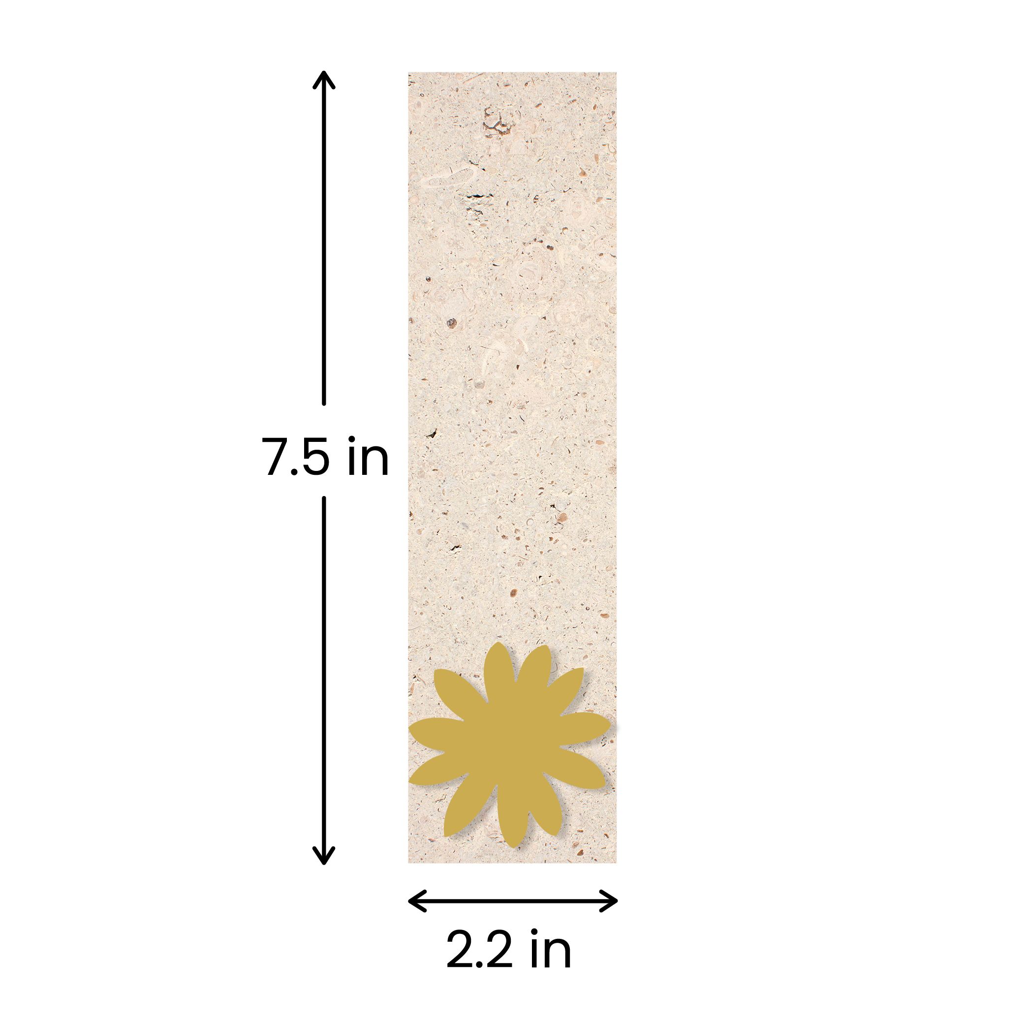 2.2 in x 7.5 in.