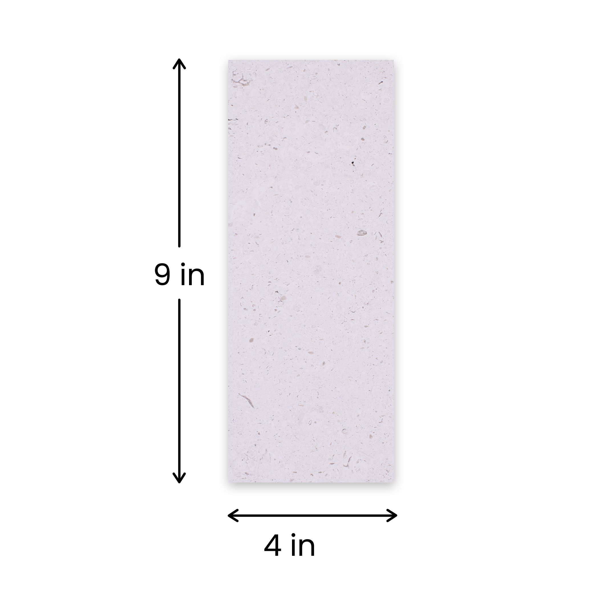 4 in. x 9 in.